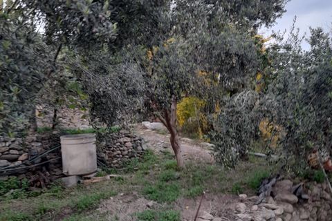Byhus i Albanchez, Almeria, Albanchez - € 50.000 | Ref: Casa Vera - foto 46